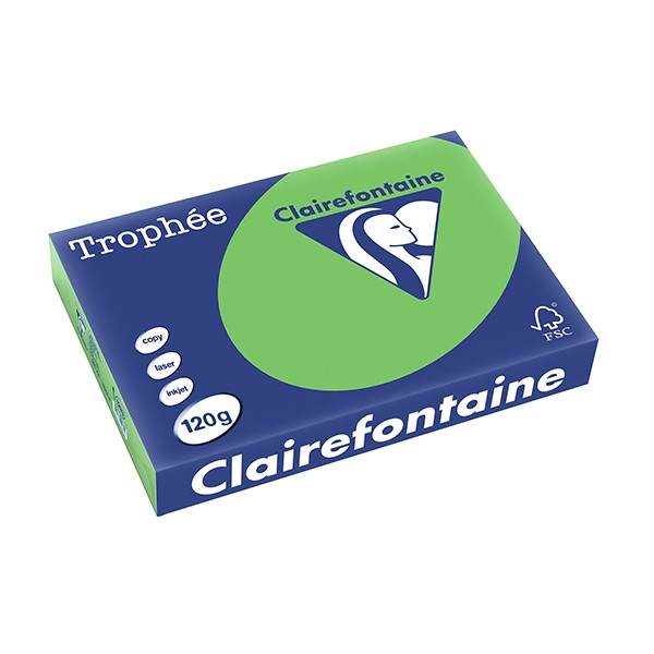Clairefontaine gekleurd papier grasgroen 120 grams A4 (250 vel) 1293C 250085 - 1