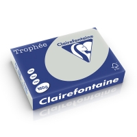 Clairefontaine gekleurd papier lichtgrijs 160 grams A4 (250 vel) 1009C 250232