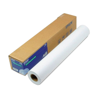 Epson S041894 Premium Glossy Photo Paper Roll 914 mm (36 inch) x 30,5 m (250 grams) C13S041894 151241