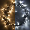 123led kerstverlichting koud wit & warm wit 8,9 meter 80 lampjes