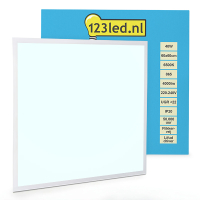 123inkt 123led paneel 60x60 cm koud wit | 6500K | 4000 lumen (40W) 0801104L123 LDR08656