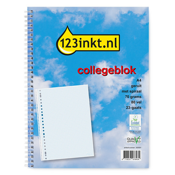 123inkt collegeblok A4 geruit 70 grams 80 vel met spiraal (23-gaats) K-5574C 300591 - 1