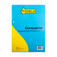 123inkt cursusblok A4 geruit 5 mm 70 grams (100 vel) 302232
