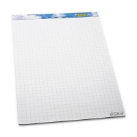 123inkt flipoverblok blanco/ruit 65 x 98 cm (2 x 50 vel) 300265