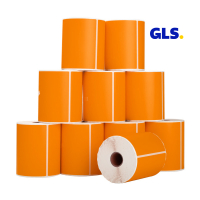 123inkt huismerk GLS verzendlabels oranje 102 x 152 mm (10 stuks) 653208