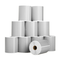 123inkt huismerk PostNL verzendetiketten zilver 102 x 152 mm (10 stuks) 089395