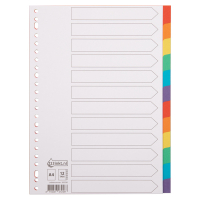 123inkt kartonnen tabbladen A4 gekleurd met 12 tabs (23-gaats)