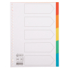 123inkt kartonnen tabbladen A4 gekleurd met 5 tabs (23-gaats) 100191C 300533
