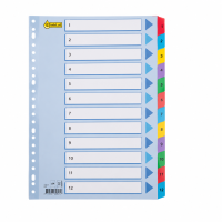 123inkt kartonnen tabbladen A4 met 12 tabs (23-gaats) 301621