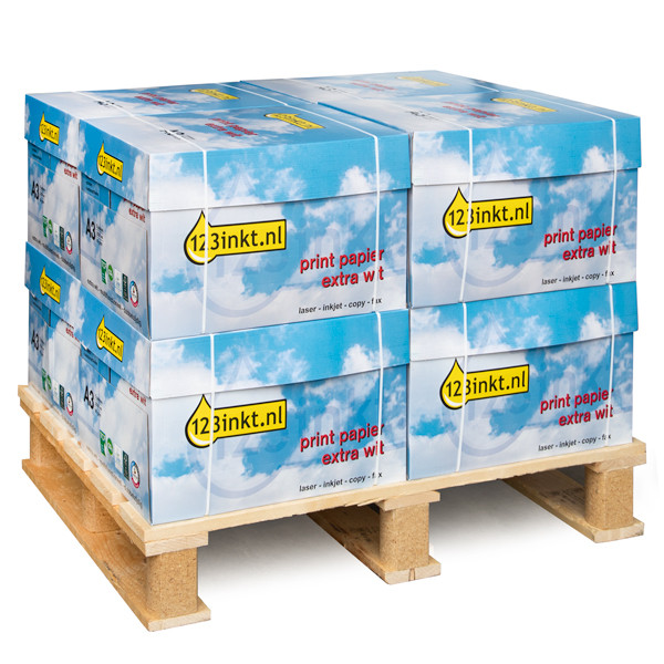 123inkt kopieerpapier mini pallet 8 dozen van 2.500 vel A3 - 80 grams 523113 A3MINIPALLETC 300646 - 1