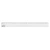 123inkt liniaal plastic (30 cm) 11300000C AC-E10152-BPC 301055