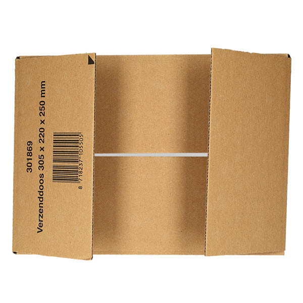 123inkt verzenddoos 305 x 220 x 250 mm (10 stuks) 301869 - 6