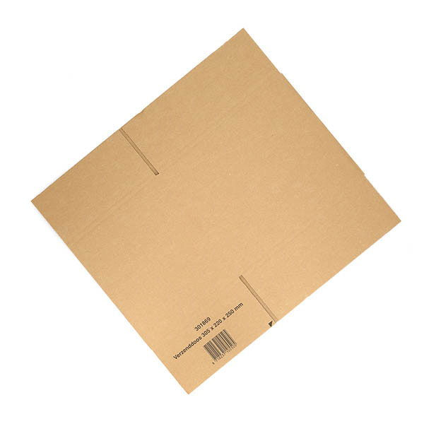 123inkt verzenddoos 305 x 220 x 250 mm (10 stuks) 301869 - 8