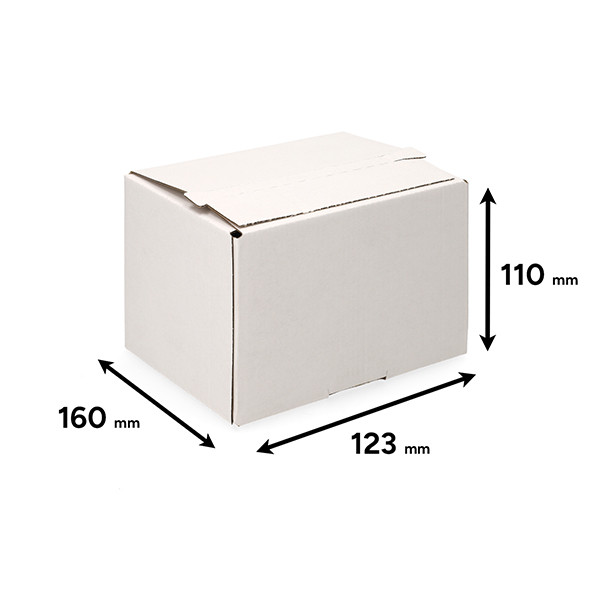 123inkt verzenddoos autolock 160 x 123 x 110 mm (10 stuks) 301873 - 3