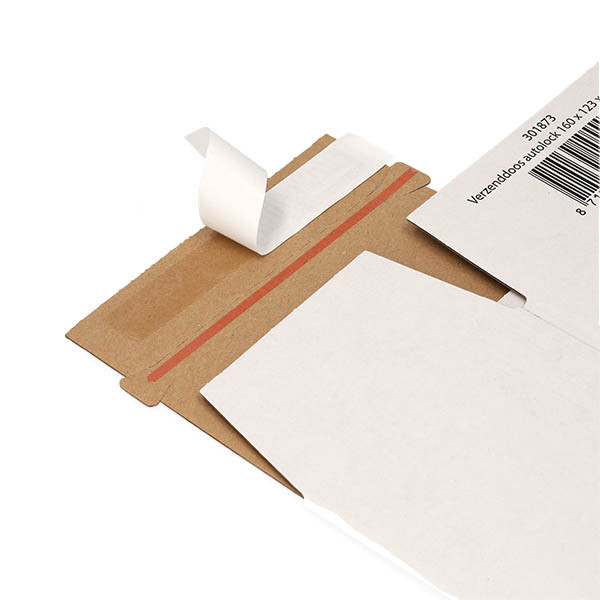 123inkt verzenddoos autolock 160 x 123 x 110 mm (10 stuks) 301873 - 5