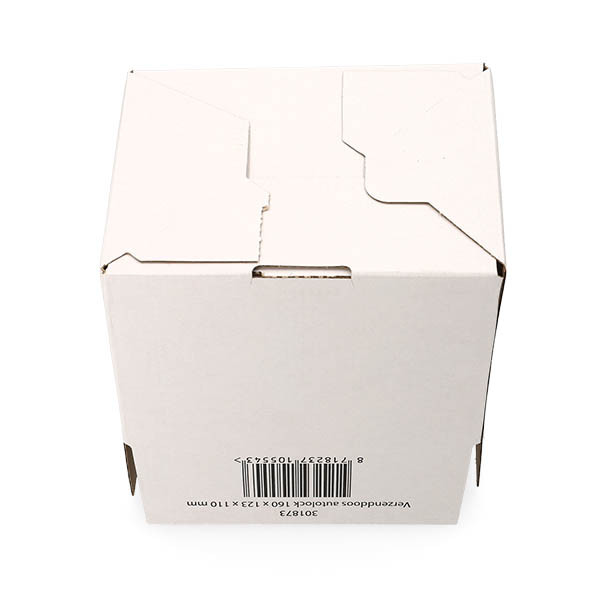 123inkt verzenddoos autolock 160 x 123 x 110 mm (10 stuks) 301873 - 9