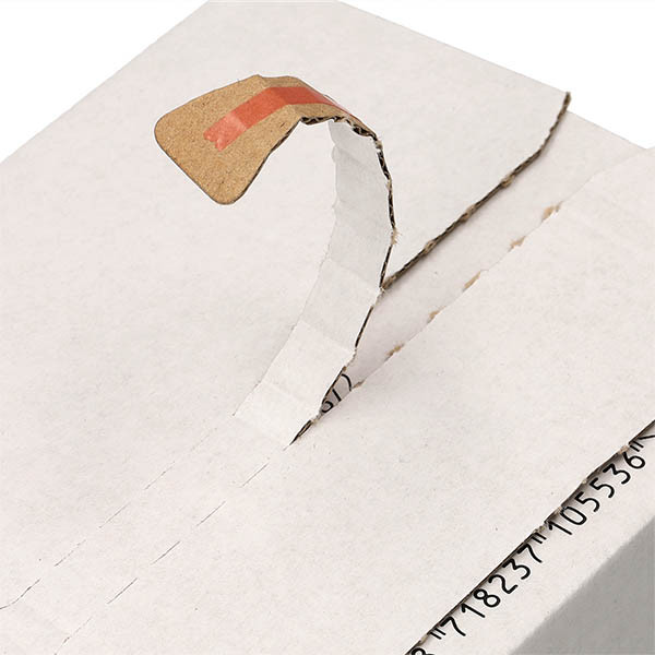 123inkt verzenddoos autolock 160 x 123 x 55 mm (10 stuks) 301872 - 6