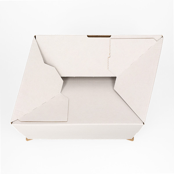 123inkt verzenddoos autolock 215 x 152 x 110 mm (10 stuks) 301874 - 8