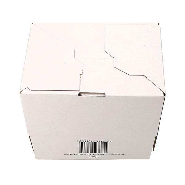 123inkt verzenddoos autolock 215 x 152 x 110 mm (10 stuks) 301874 - 9