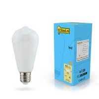 123led E27 led-lamp edison mat dimbaar 7w (60w) LDR02116 123led E27 led-lamp edison mat dimbaar 7w (60w) LDR02116