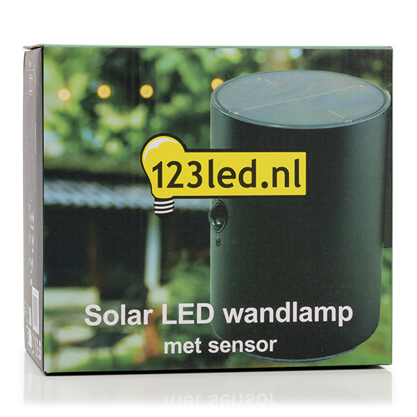 Solar wandlamp met sensor | Up & Down | Grantham | 3000K | IP54 | Zwart LDR08531 - 6