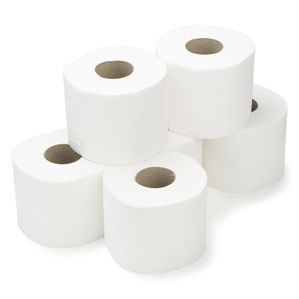 123schoon Maxi Jumbo toiletpapier 2-laags 6 rollen SDR02007 - 1