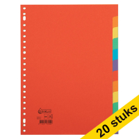 Aanbieding: 20x 123inkt kartonnen tabbladen A4 gekleurd met 12 tabs (23-gaats) 301335