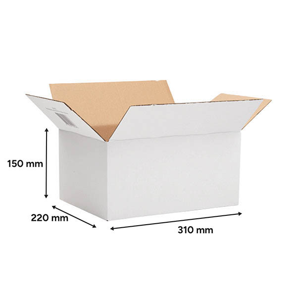 Aanbieding: 3x 123inkt verzenddoos autolock 310 x 220 x 150 mm (10 stuks) 301962 - 2