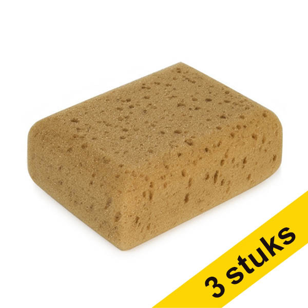 Aanbieding: 3x 123schoon karwei spons  SDR07323 - 1