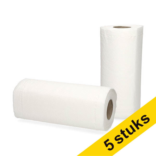 Aanbieding: 5x 123schoon keukenrol 2-laags 2 x 50 vel SDR07349 - 1