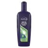 Andrélon for men Iedere Dag shampoo (300 ml) SAN00082 - 1