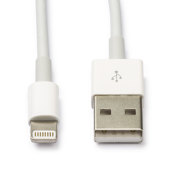 Omgaan met Speel detectie Apple kabels iPhone oplader Apple 1 poort (USB A, 5W, Lightning kabel)  123inkt.nl