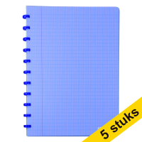 Aanbieding: 5 x Atoma Trendy geruit schrift A4 transparant blauw 72 vel (4 x 8 mm)