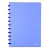 Atoma Trendy geruit schrift A4 transparant blauw 72 vel (4 x 8 mm)