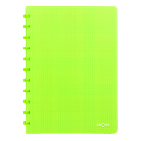 Atoma Trendy geruit schrift A4 transparant groen 72 vel (5 mm) 4137303 405241