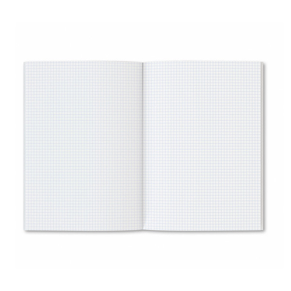 Aurora accountantspapier A4 geruit 5 mm 80 grams (480 vel) MINA4Q5 330047 - 2