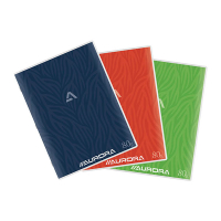 Aurora geruit schrift A4 assorti 10 stuks 120 vel (5 mm) 298316