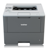 Brother HL-L6250DN A4 netwerk laserprinter zwart-wit 848404