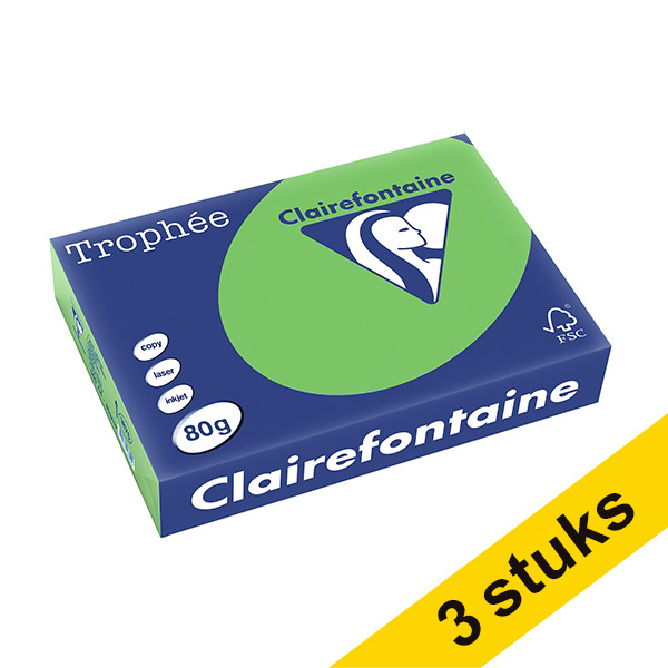 Aanbieding: 3x Clairefontaine gekleurd papier grasgroen 80 grams A4 (500 vel) 340031 - 1