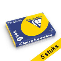 Aanbieding: 5x Clairefontaine gekleurd papier goudgeel 80 grams A4 (500 vel) 250405