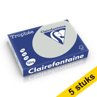 Aanbieding: 5x Clairefontaine gekleurd papier lichtgrijs 120 grams A4 (250 vel)