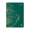 Clairefontaine Forever Premium notitieboek A4 gelinieerd 48 vel dennengroen 684661C 250453 - 1