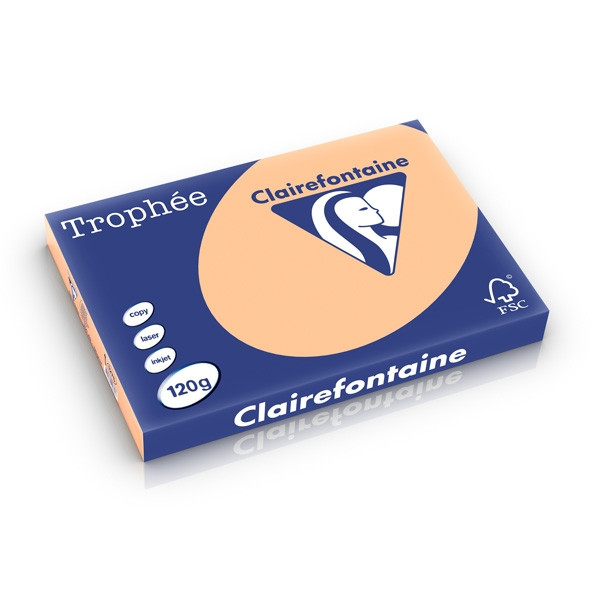 Clairefontaine gekleurd papier abrikoos 120 grams A3 (250 vel) 1276C 250215 - 1