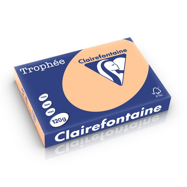 Clairefontaine gekleurd papier abrikoos 120 grams A4 (250 vel) 1275C 250197 - 1