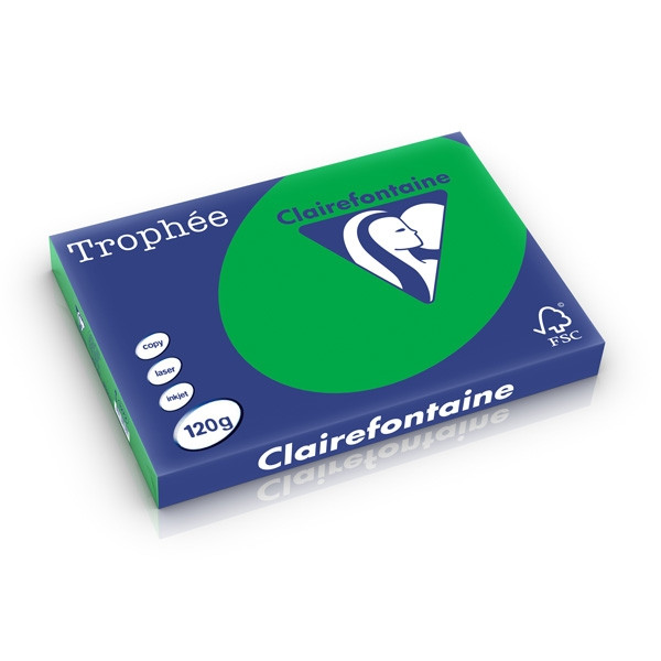 Clairefontaine gekleurd papier biljartgroen 120 grams A3 (250 vel) 1272C 250230 - 1