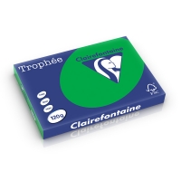 Clairefontaine gekleurd papier biljartgroen 120 grams A3 (250 vel) 1272C 250230