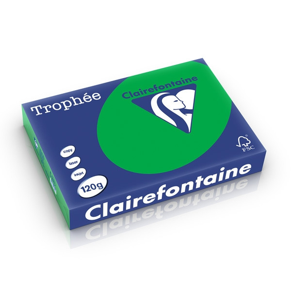 Clairefontaine gekleurd papier biljartgroen 120 grams A4 (250 vel) 1271C 250212 - 1
