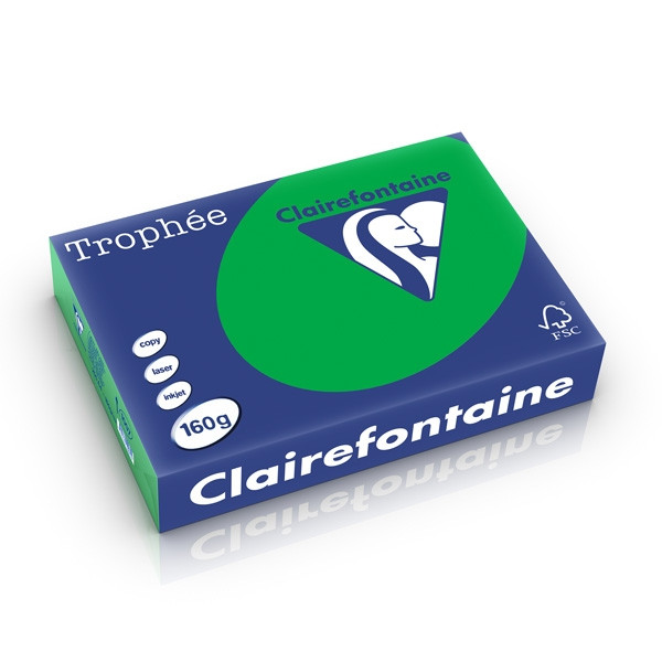Clairefontaine gekleurd papier biljartgroen 160 grams A4 (250 vel) 1007C 250265 - 1
