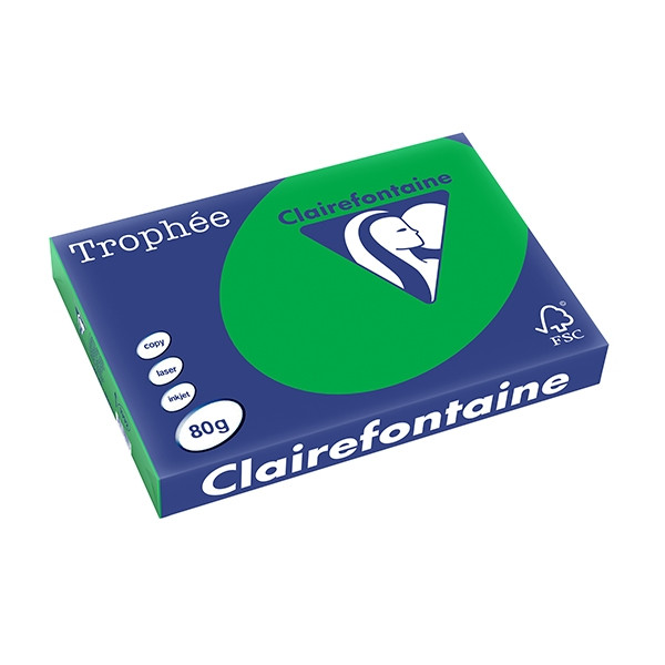 Clairefontaine gekleurd papier biljartgroen 80 grams A3 (500 vel) 1992C 250123 - 1