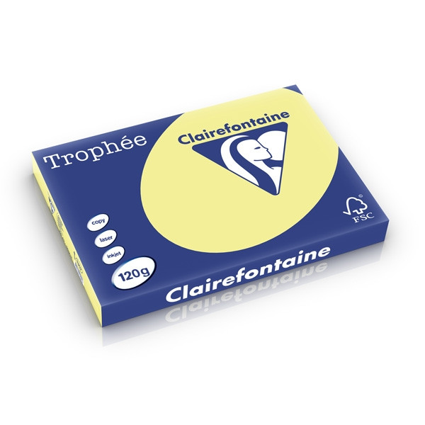 Clairefontaine gekleurd papier citroengeel 120 grams A3 (250 vel) 1307C 250218 - 1